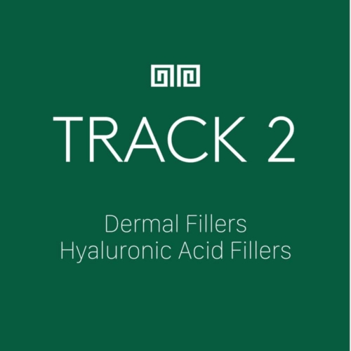 Veritas aesthetic training — dermal filler injection course